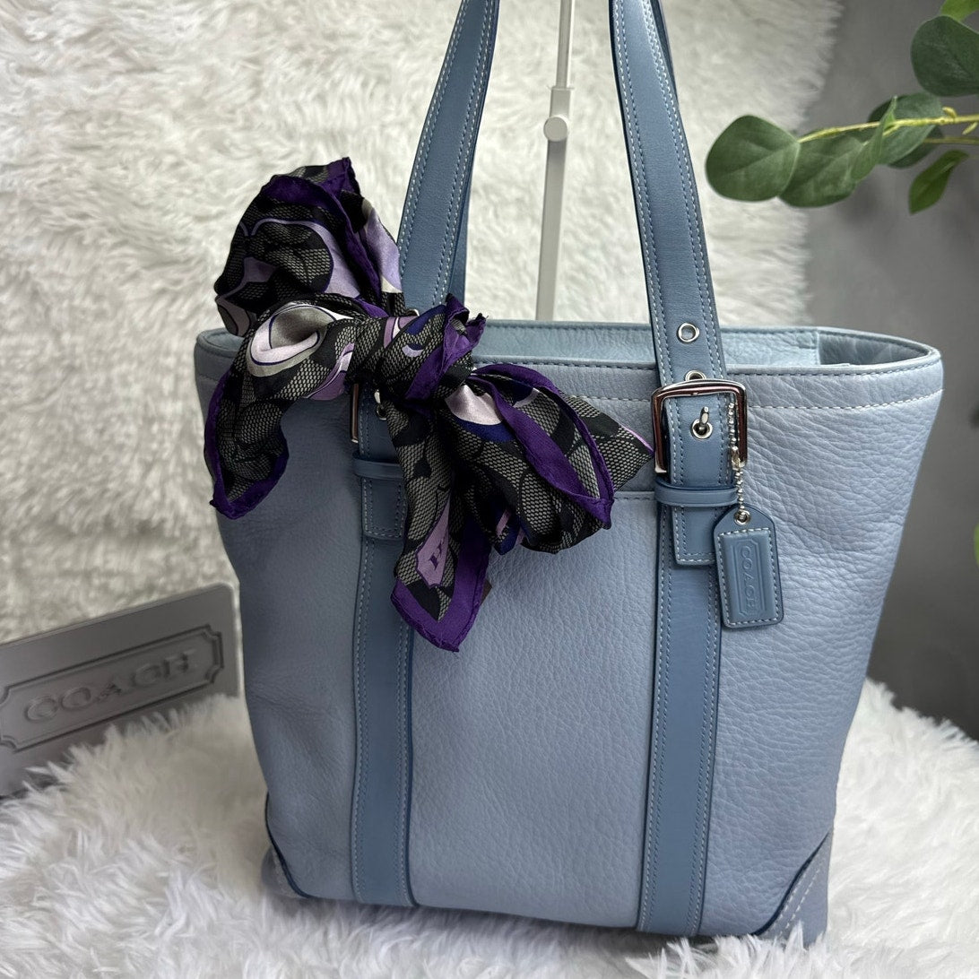COACH y2k Blue Pebbled Leather Tote Shoulder bag