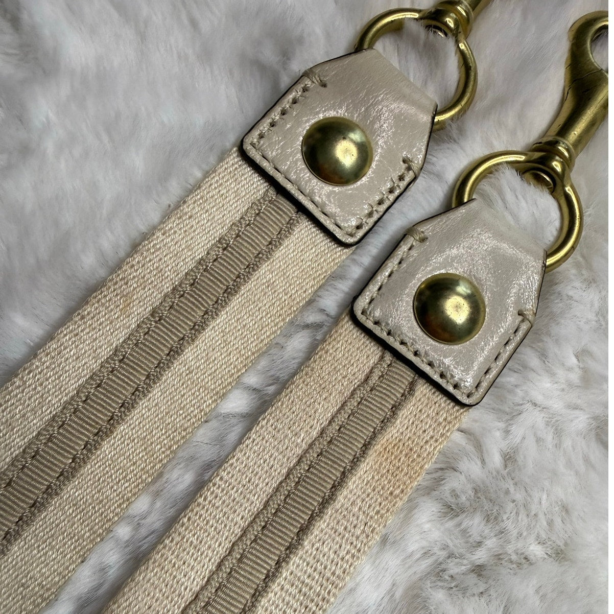 Coach Poppy Replacement Strap
