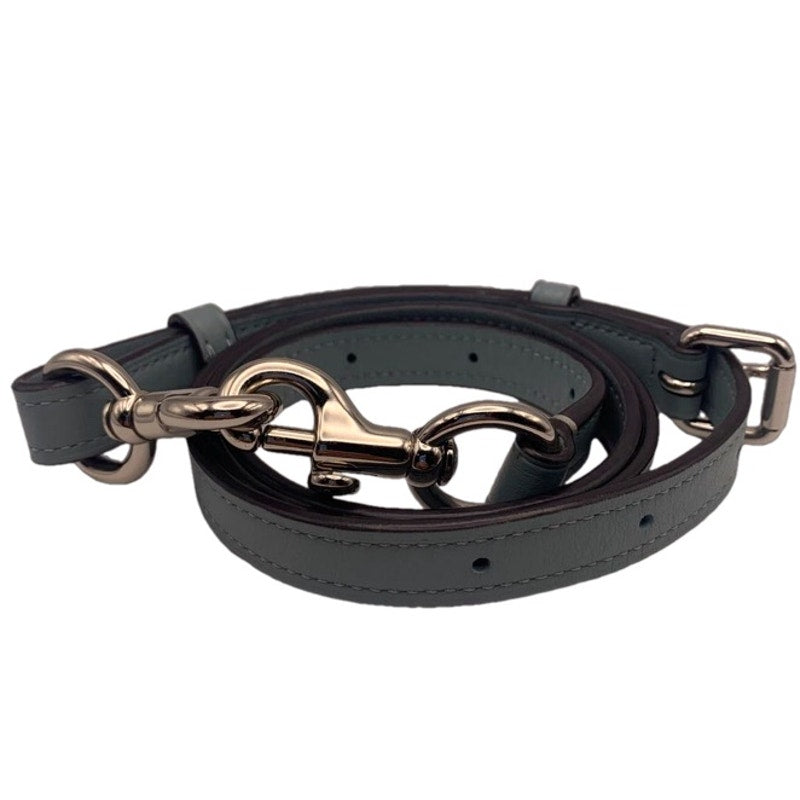 COACH Crossbody Replacement Strap