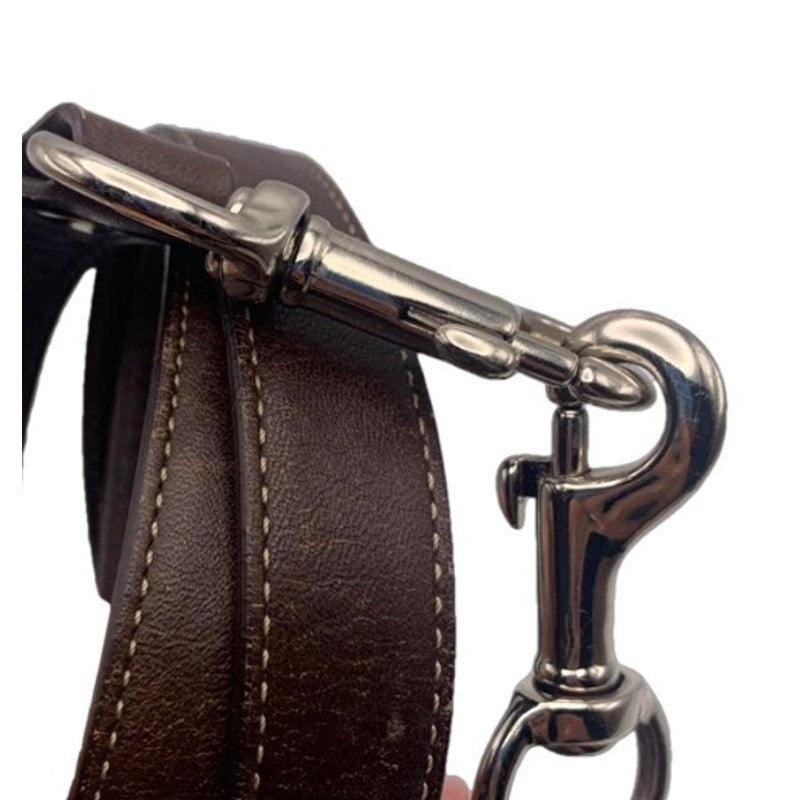 Brown Silver Replacement Strap