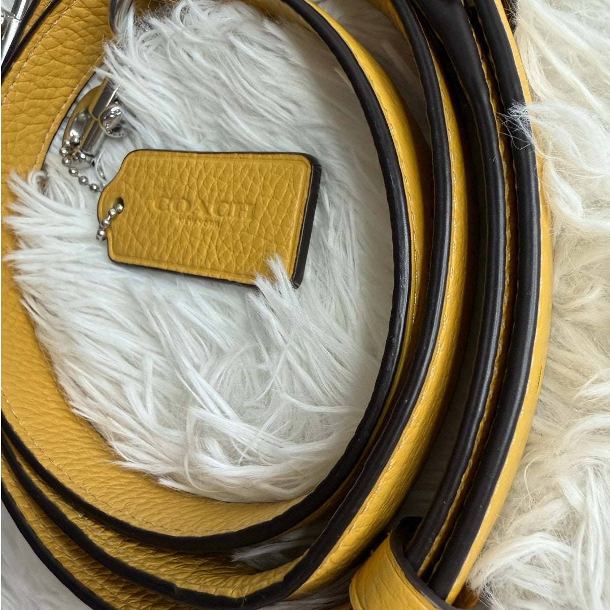 Coach Hang Tag and Replacement Strap