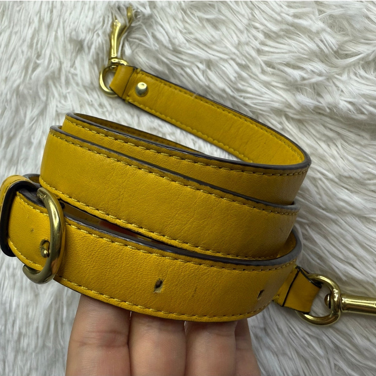 COACH Replacement Strap