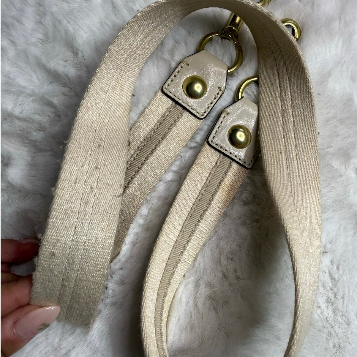 Coach Poppy Replacement Strap