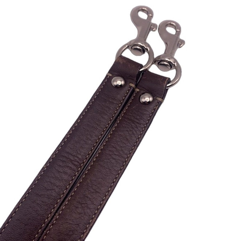 Brown Silver Replacement Strap