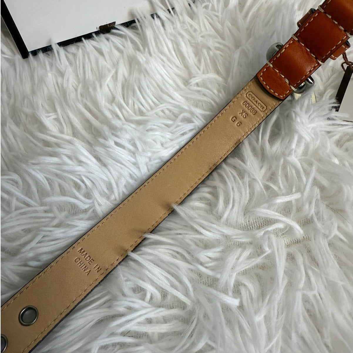 NWB COACH Legacy Stripe Leather Dog Collar XS w COACH Charm Limited Ed Rare