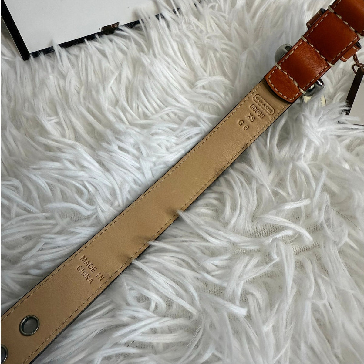 NWB y2k COACH Legacy Stripe Leather Dog Collar XS w COACH Charm Limited Ed Rare