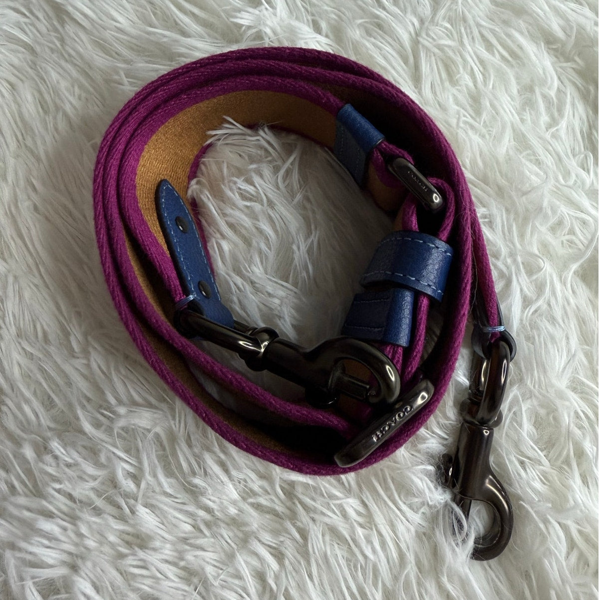 COACH with Color Block Replacement Strap