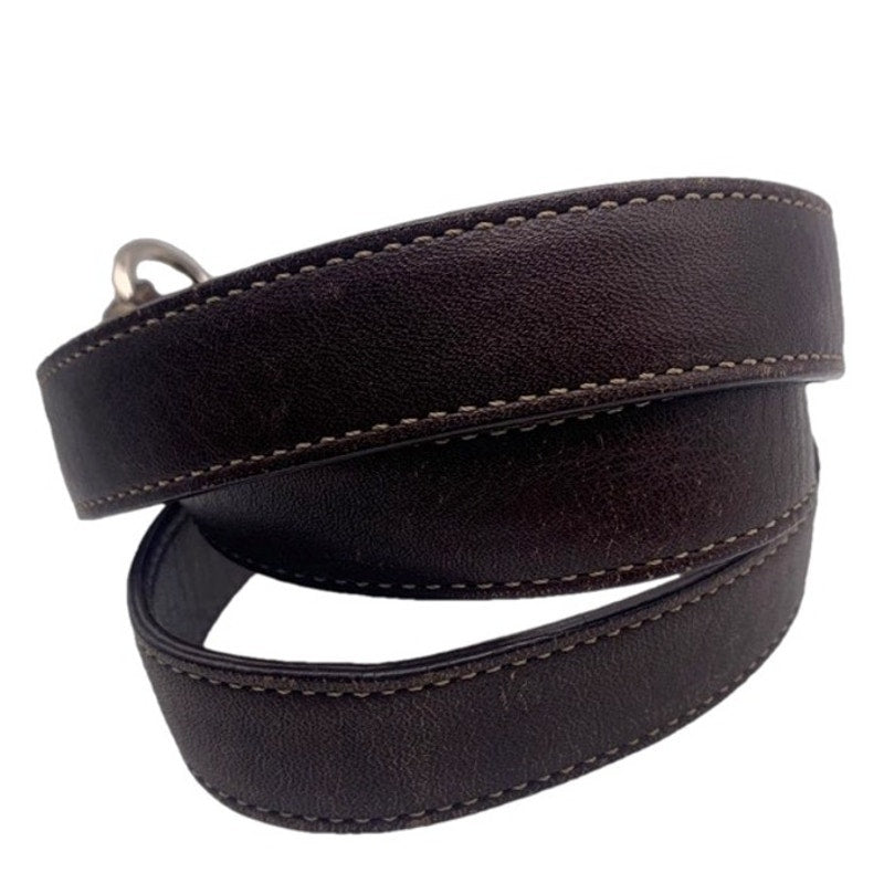 Brown Silver Replacement Strap