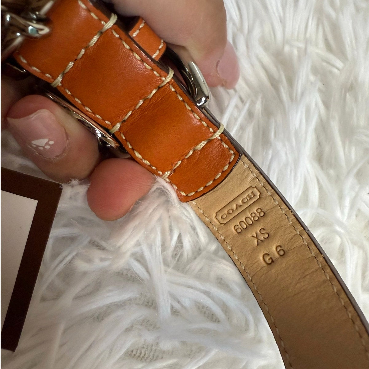 NWB COACH Legacy Stripe Leather Dog Collar XS w COACH Charm Limited Ed Rare