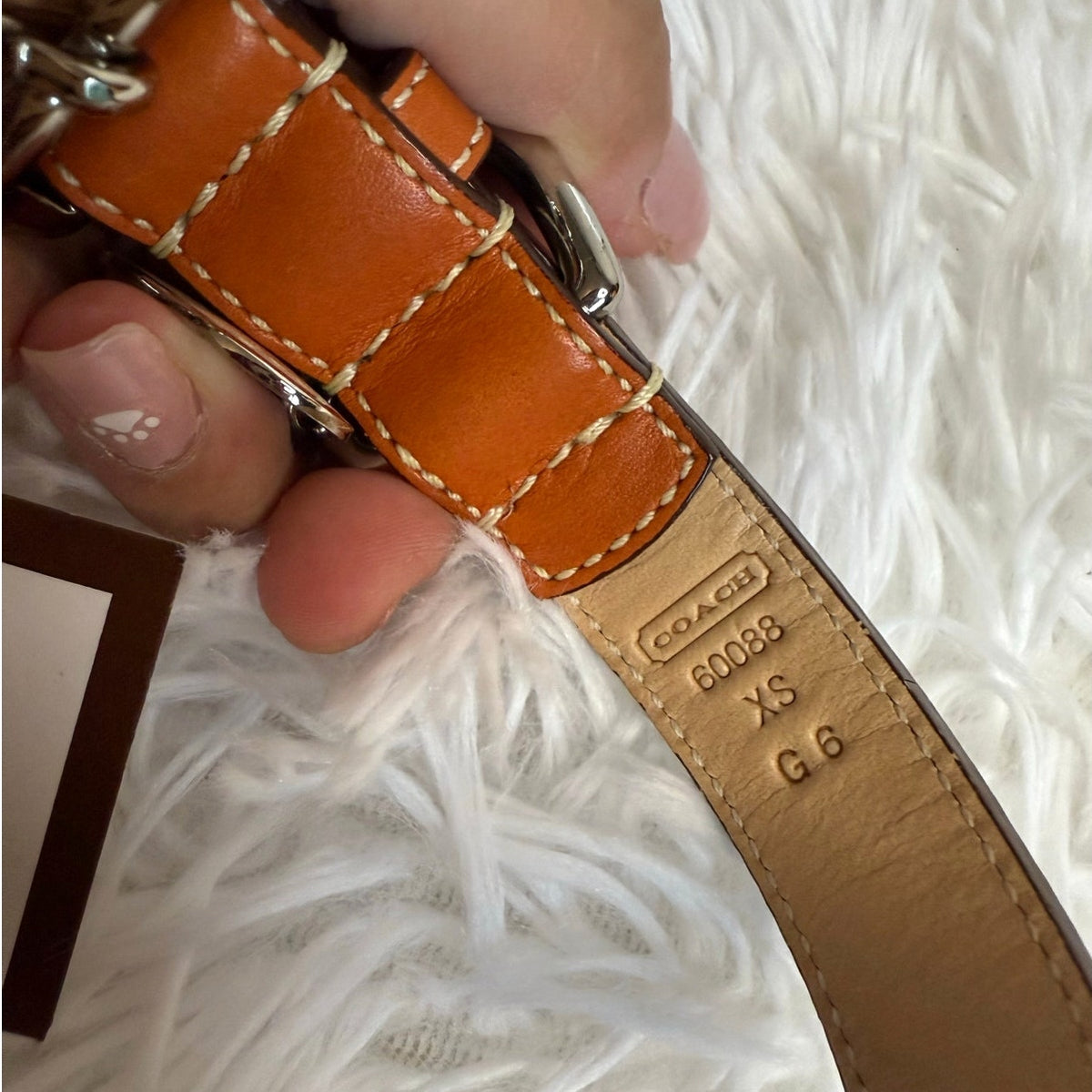 NWB y2k COACH Legacy Stripe Leather Dog Collar XS w COACH Charm Limited Ed Rare