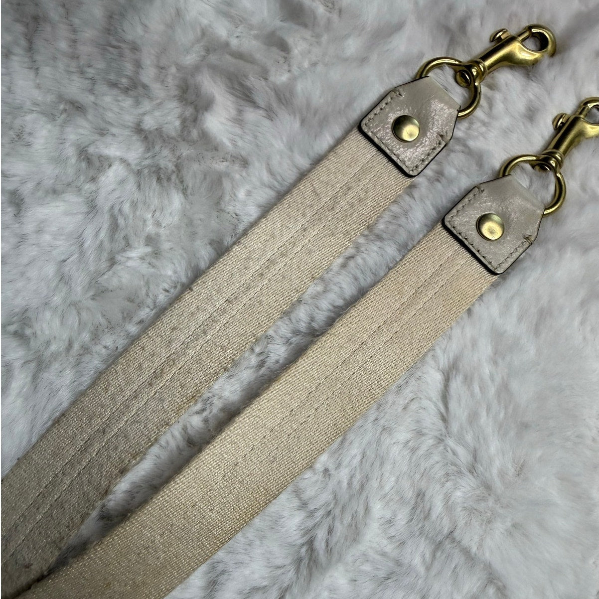 Coach Poppy Replacement Strap