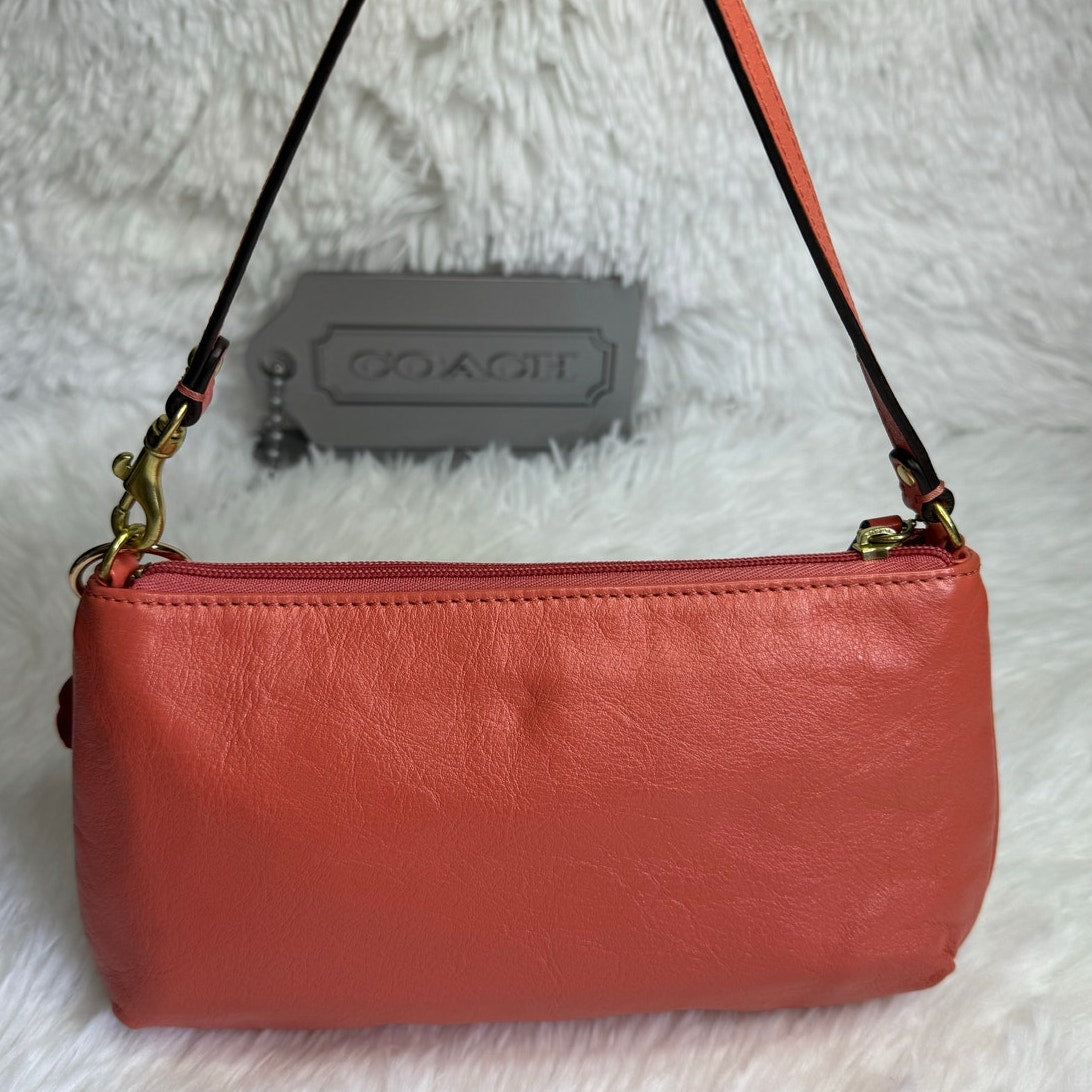 COACH y2k Ashley Mini Purse Wristlet Mini Purse