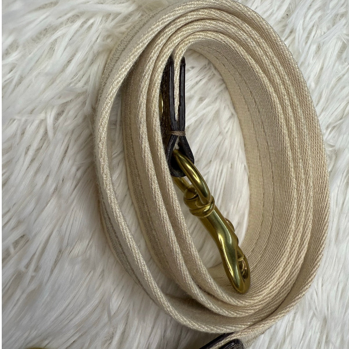 COACH Poppy Replacement Strap Shoulder Strap