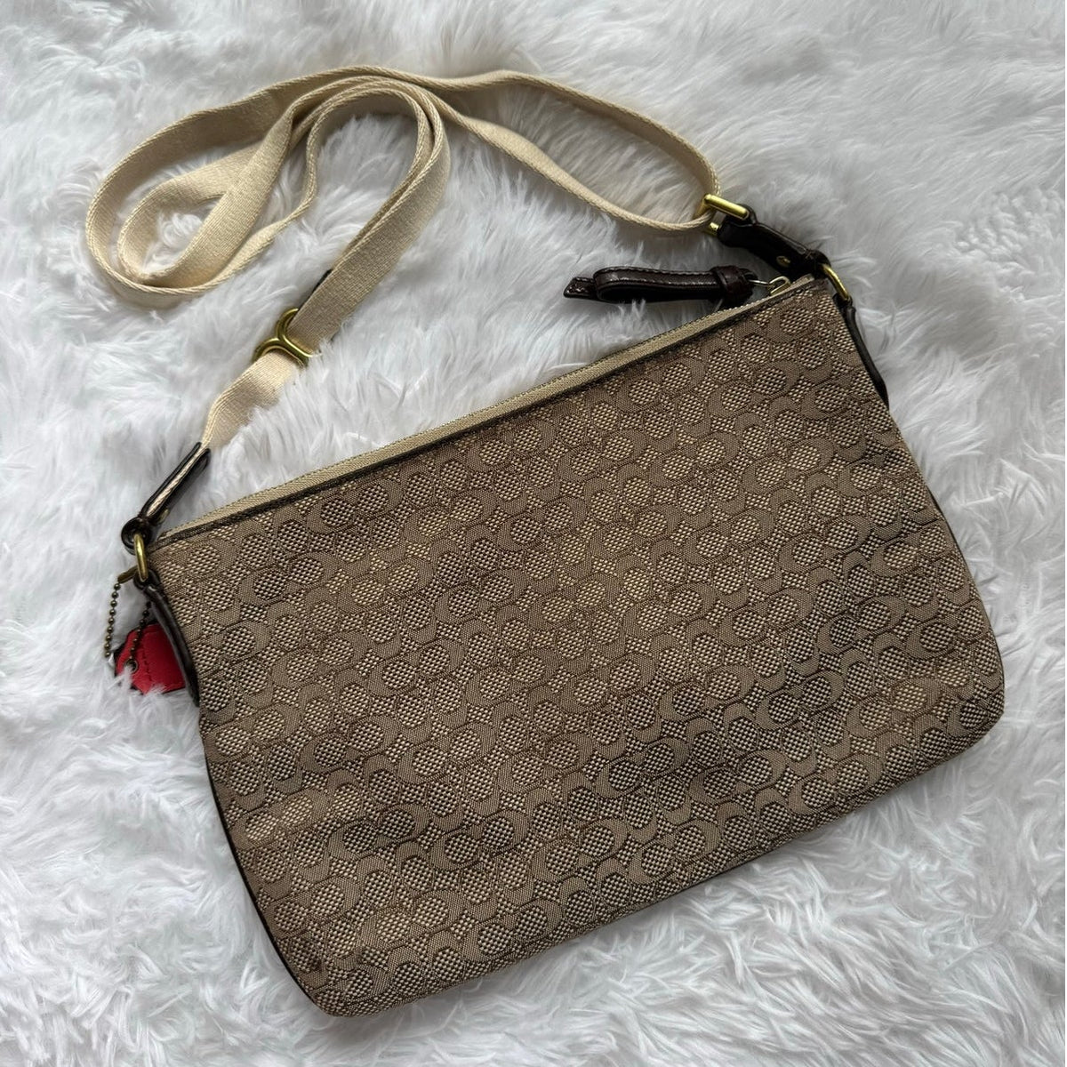 COACH Poppy Signature C Mini Oxford East/West Swingpack Canvas Crossbody