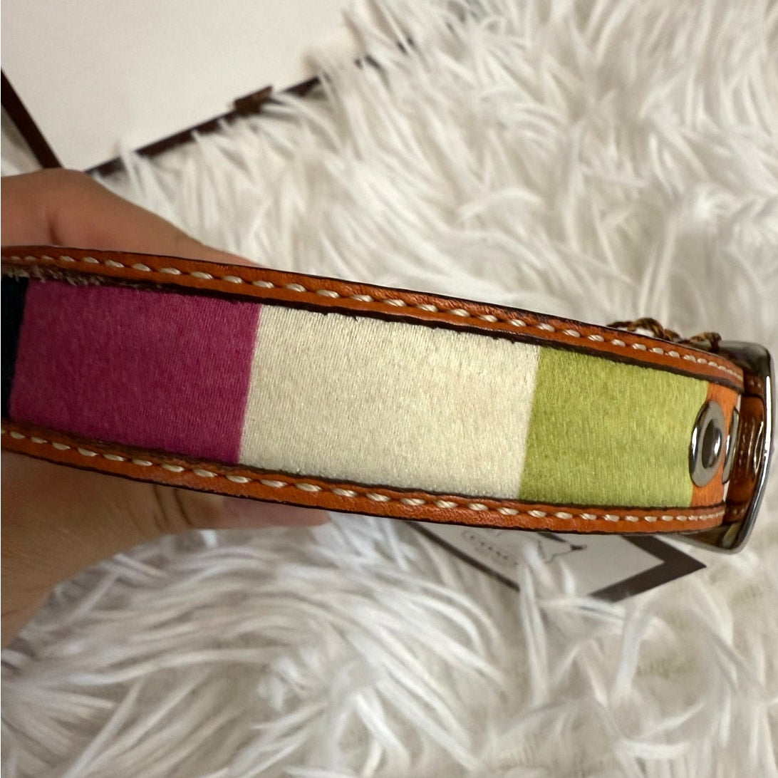 NWB y2k COACH Legacy Stripe Leather Dog Collar XS w COACH Charm Limited Ed Rare