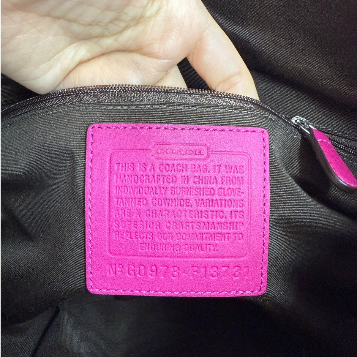 NWT y2k COACH Soho Pleated Leather Large Hobo Shoulder Bag F1373100