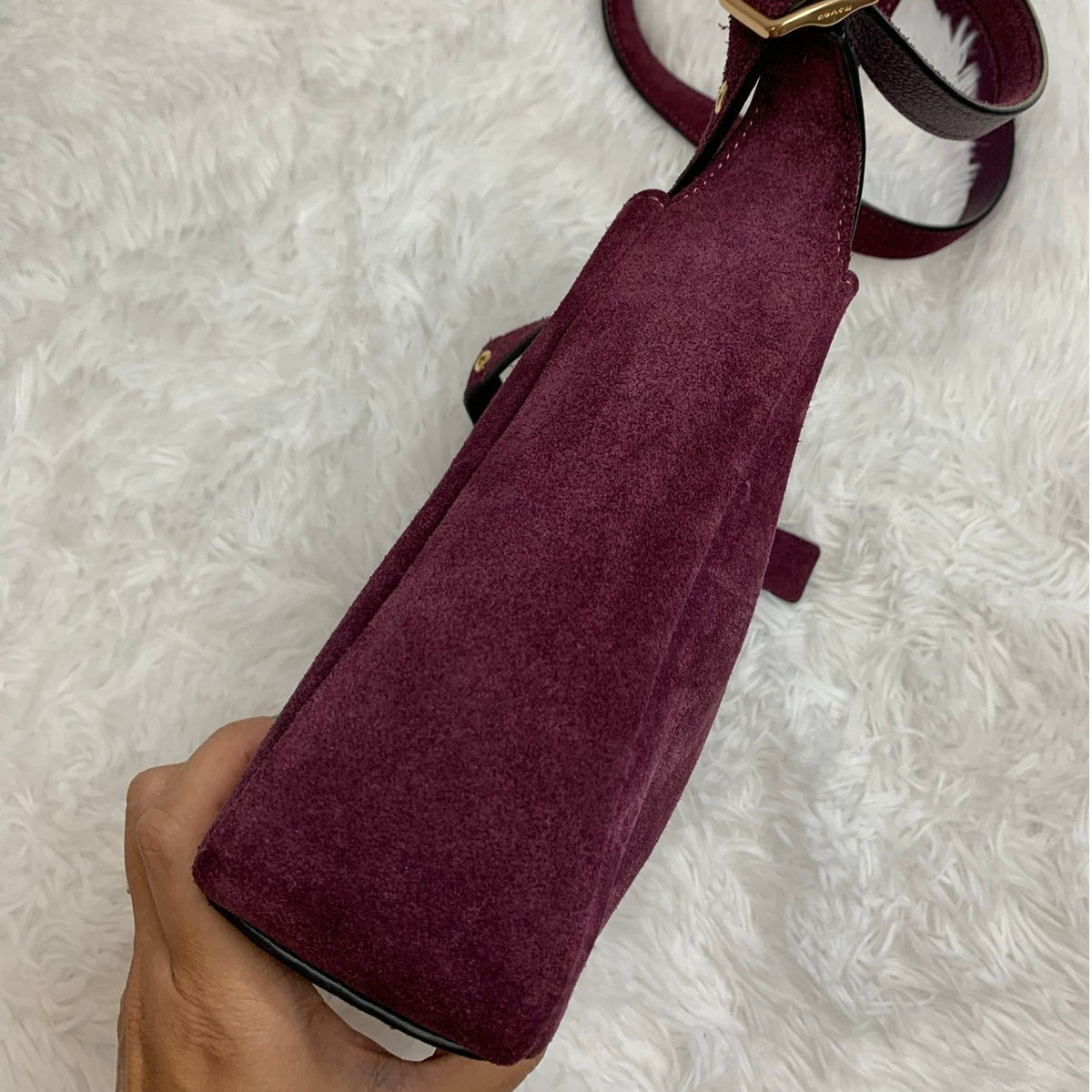 Coach Hadley Mini Crossbody Bag