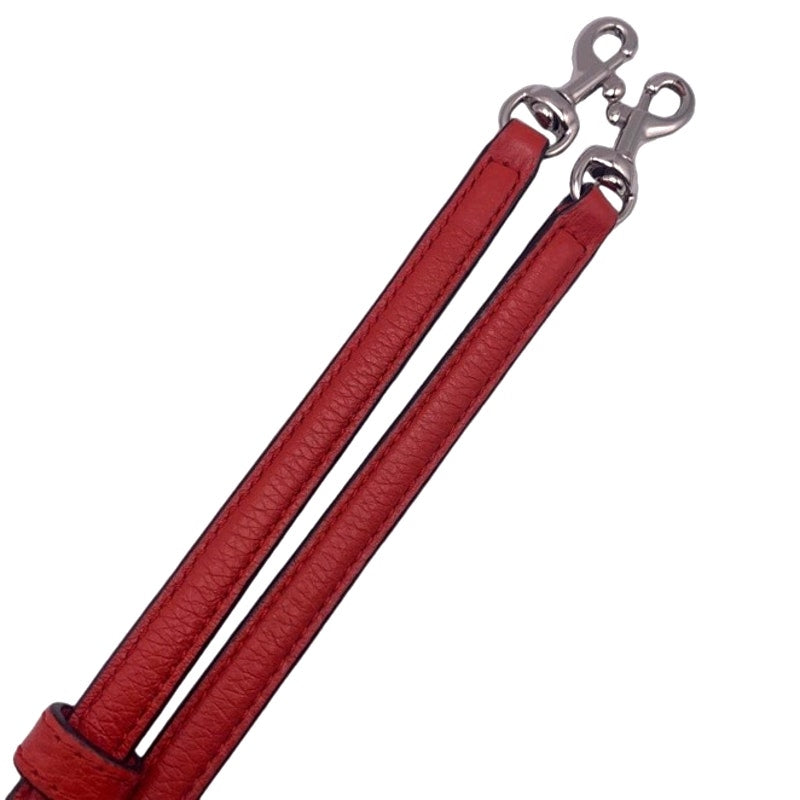Red Crossbody Replacement Strap