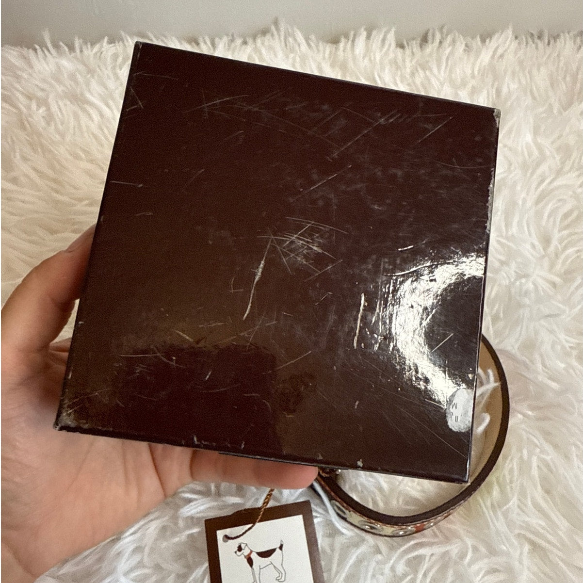 NWB COACH Legacy Stripe Leather Dog Collar XS w COACH Charm Limited Ed Rare