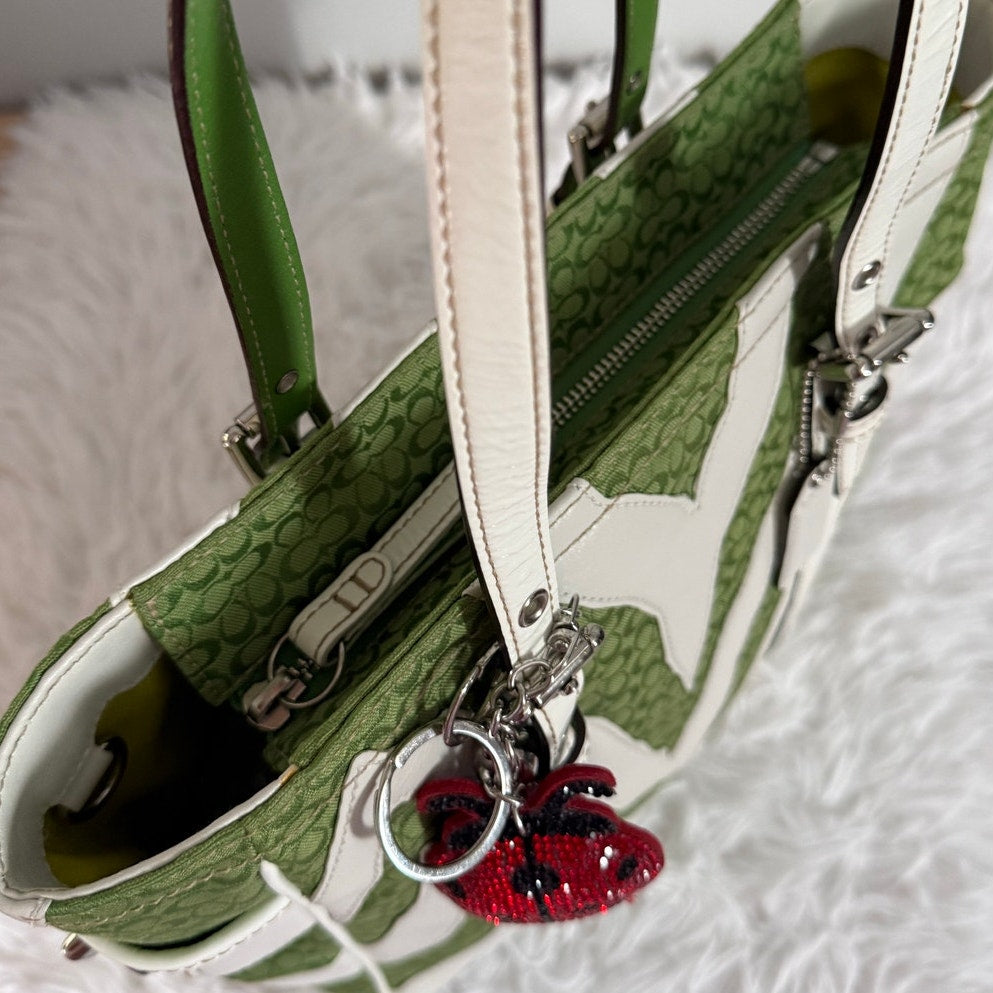y2k Coach Vintage 2006 Green Zebra Strips Print Tote