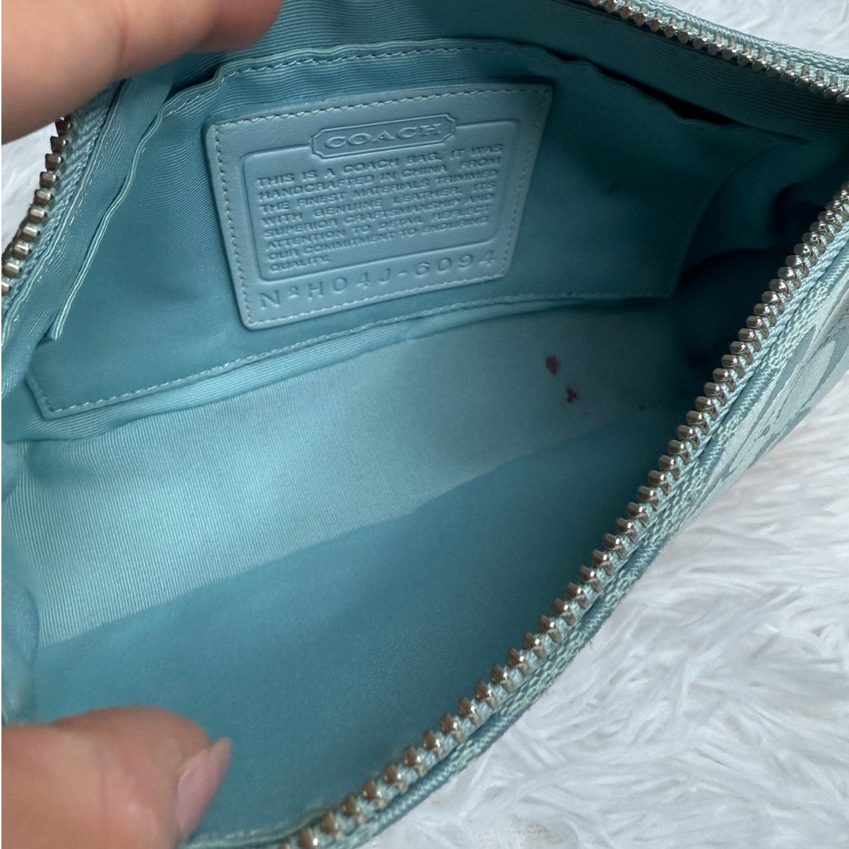 y2k COACH 2004 Vintage Hamptons Demi Pouch Mini Shoulder Bag